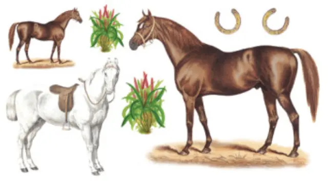Αυτοκόλλητα για γυαλί & πορσελάνη Horses 11x20cm