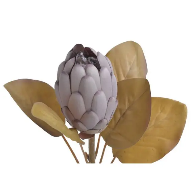 Πρωτέα λουλούδι κλειστό, μωβ 66cm 2