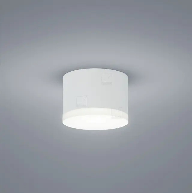 Φωτιστικό Οροφής PALA Λευκό Ματ LED IP30 Ø100mm Άσπρο