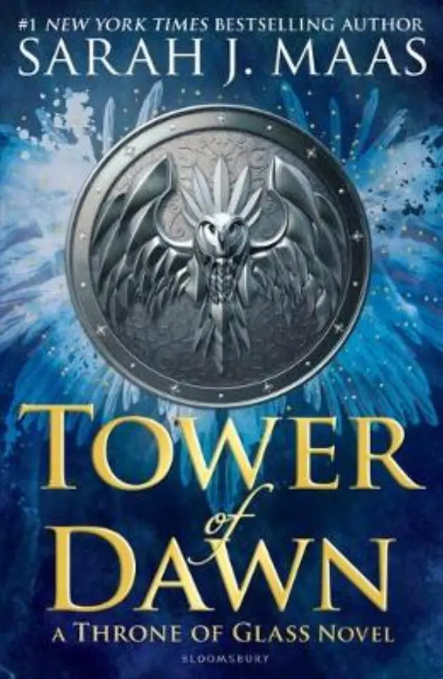 TOWER OF DAWN PB