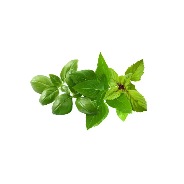 Click and Grow Συσκευασία Σπόρων με Χώμα, για Μείγμα Βασιλικού – 9τμχ 2