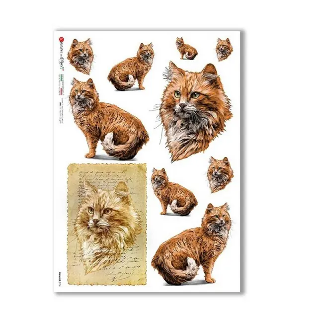 Ριζόχαρτο PaperD για Decoupage με Αλεπού 32x45cm, ANIMALS_0156