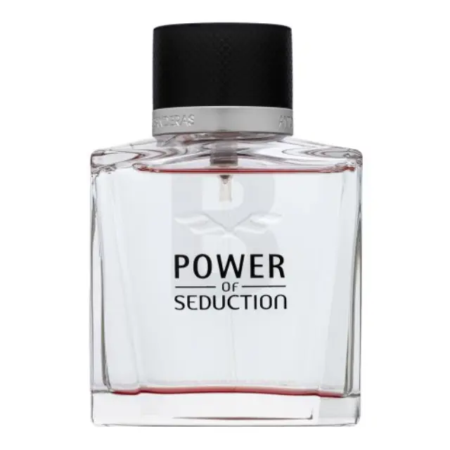 Antonio Banderas Power of Seduction Eau de Toilette for men 100 ml