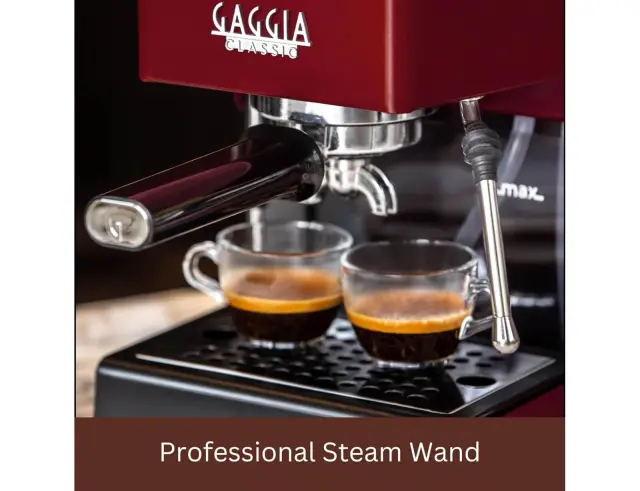 Μηχανή Espresso Gaggia Classic Evo RI9481/12 με πίεση 15 Bar και ισχύ 1200W RI9481/12 3
