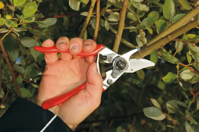 Felco Ψαλίδι Κλαδέματος Χειρός 6 11587623 2