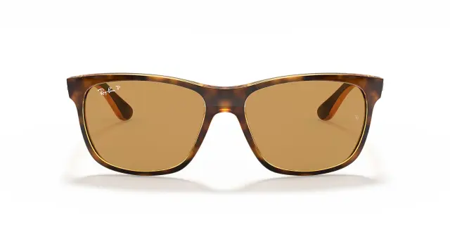 Γυαλιά Ηλίου Ray Ban RB4181 710/83 Μονόχρωμοι Εσωτερική επίστρωση Polarized (Ray Ban) (RB4181 710/83) 2