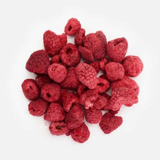 Vilgain Raspberries Lyophilized 3