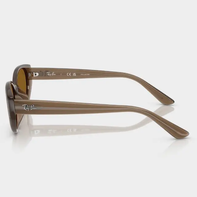 Γυαλιά Ηλίου Ray Ban RB4457D 677983 Διαφανές Καφέ - 55 3