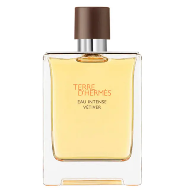 Hermès Terre D'Hermes Eau Intense Vetiver Eau de Parfum for men 50 ml
