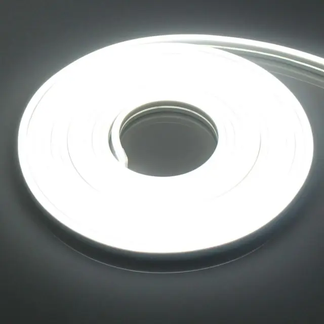 Αδιάβροχη Led Ταινία Neon 12V 5m με Τροφοδοτικό Ψυχρό Λευκό 6500K IP65 RZ-0021