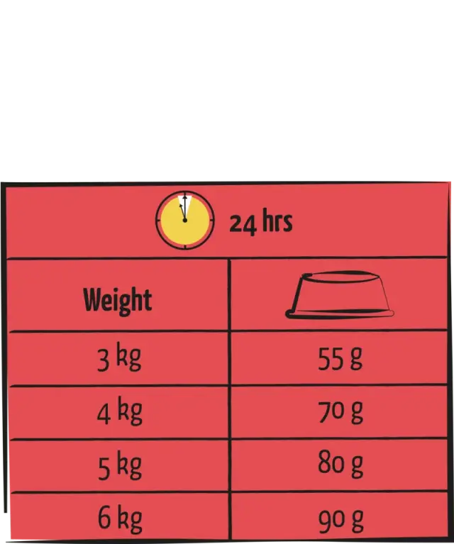 Lara Adult Ξηρά Τροφή Γάτας με Αρνί 2kg 3