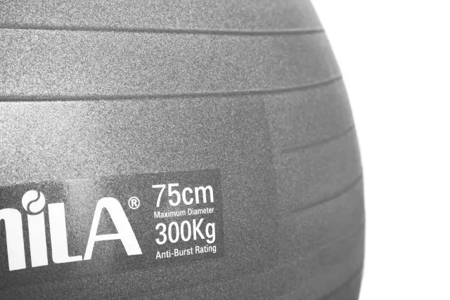 Μπάλα γυμναστικής AMILA GYMBALL 75cm Γκρι (95867) 3