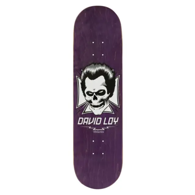 BIRDHOUSE Pro Loy Skull Skateboard Deck 8.375”