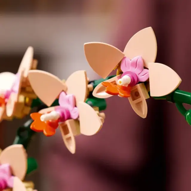 LEGO ICONS 10343 The Botanical Collection - Mini Orchid 3