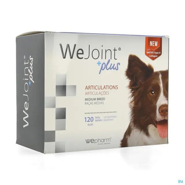 Wepharm WeJoint Plus Medium Dogs χονδροπροστατευτικά (120 δισκία)
