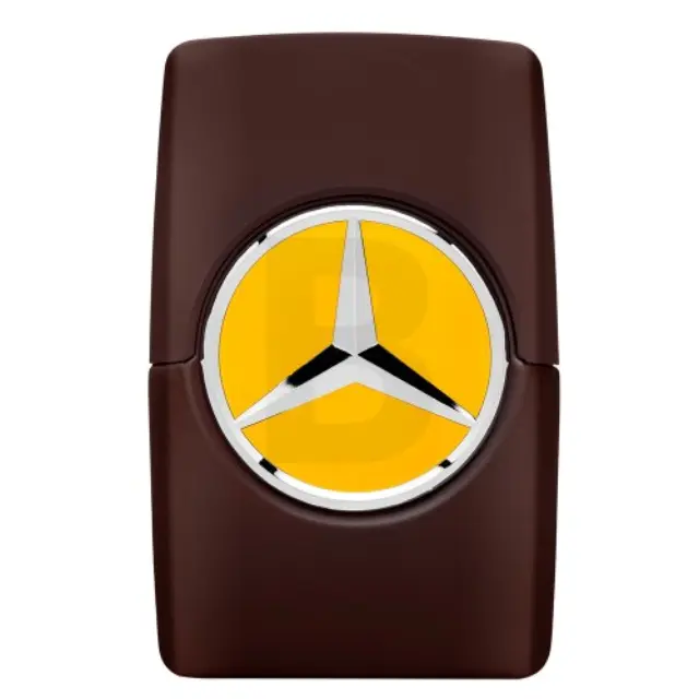 Mercedes-Benz Mercedes Benz Man Private Eau de Parfum for men 100 ml