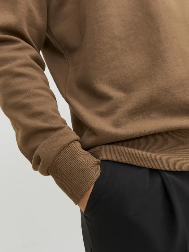 JJEBASIC SWEAT CREW NECK NOOS Otter