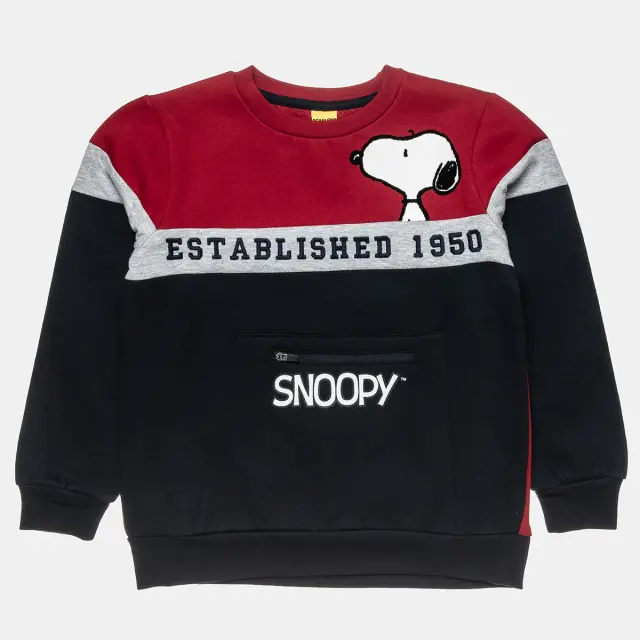 Σετ φόρμας φούτερ Snoopy με κέντημα 2