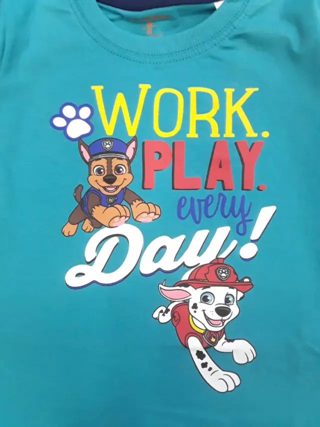 Μπλουζάκι Μακρυμάνικο Paw Patrol Work Play Every Day Mint 8020366 - 6-7 Y (122cm) 2