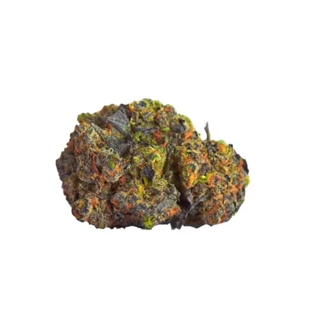 Royal Queen Seeds - Green Gelato - 1 seed 2