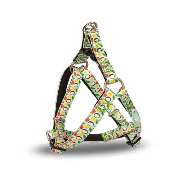 Glee Platinum Aqua Batida – Σαμαράκι Τύπου “A” M 2.5×71-81cm