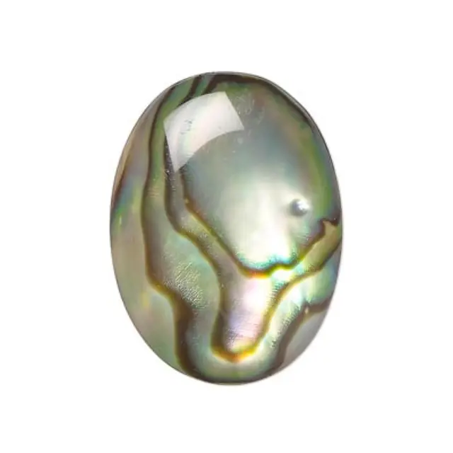Καμπουσόν Abalone Paua Shell Οβάλ - 12x10mm - 5τεμ