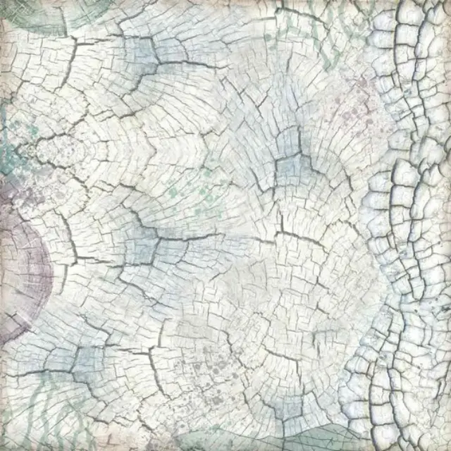 Σετ 10 Χαρτιά Scrapbooking Stamperia Διπλής Όψης - Cosmos - 30x30cm 3