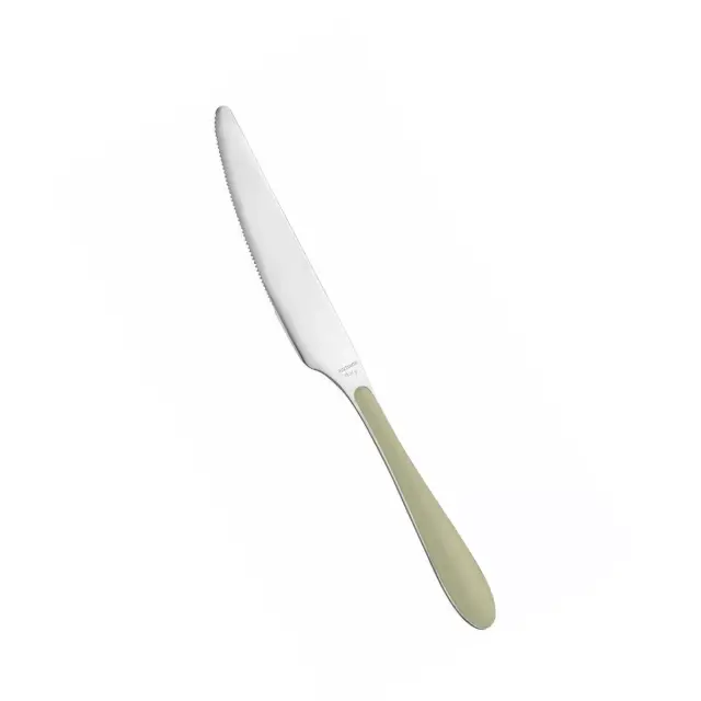 Ανοξείδωτο Μαχαίρι Φαγητού 18/10 Pintinox Oats Canaletto 19.5cm