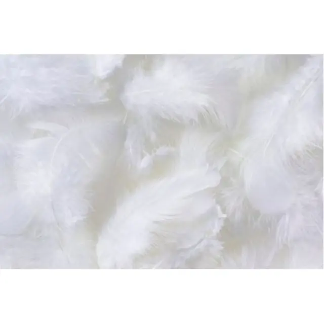 Φτερά πακέτο 10gr, white