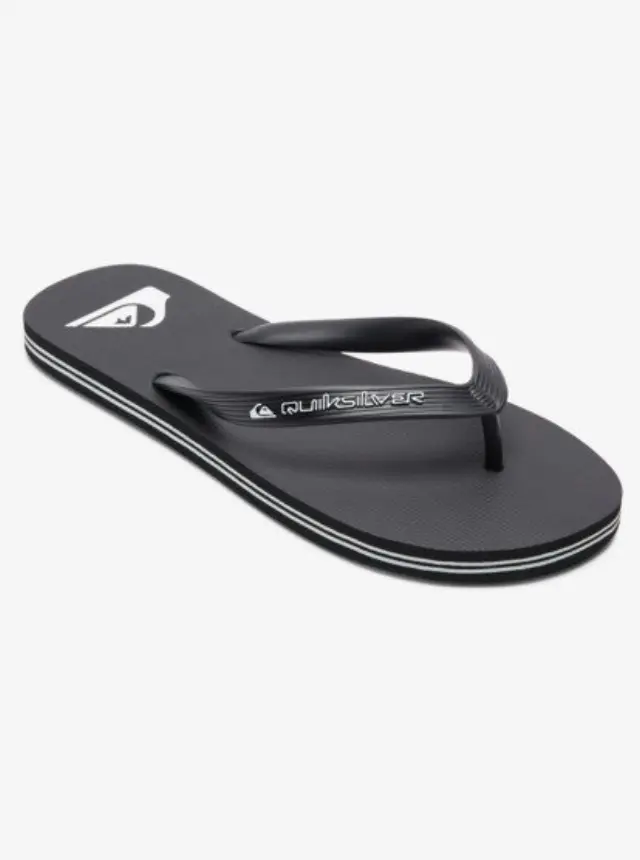 QUIKSILVER MOLOKAI CORE ΑΝΔΡΙΚΕΣ ΣΑΓΙΟΝΑΡΕΣ GREY 2