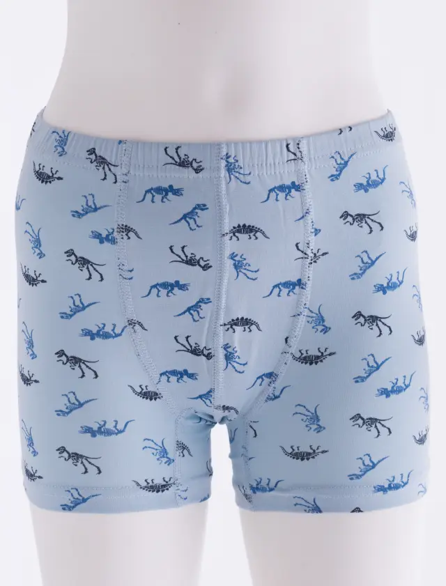 Boxer Kid Dinosaurs Γαλάζιο