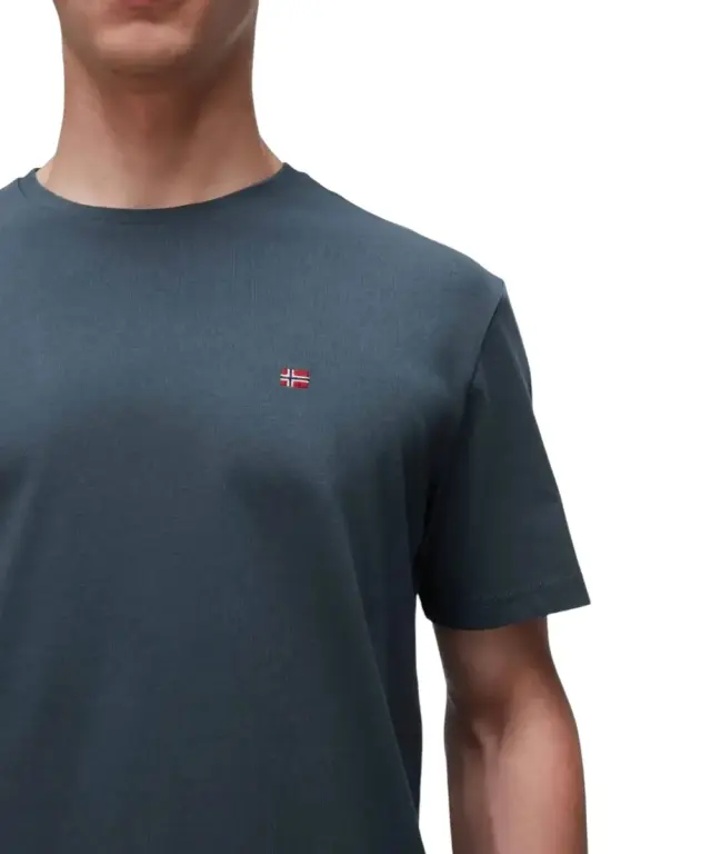 Napapijri - Ανδρικό T-shirt Salis Ss Sum Regular Fit NP0A4H8D-G1S Πράσινο - 3XL 3