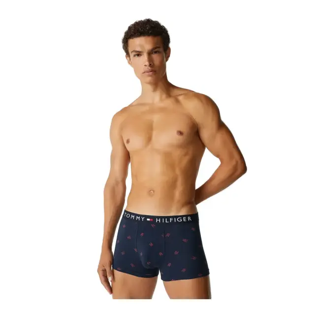 Tommy Hilfiger Ανδρικό Boxer TH Monogram Jersey Trunk, Χρώμα Cmd Small Desert Sky - S
