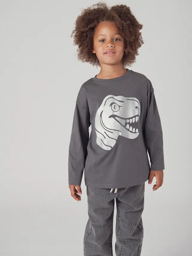 Παιδική Μπλούζα για Αγόρια Grey Dinosaur ΓΚΡΙ 2