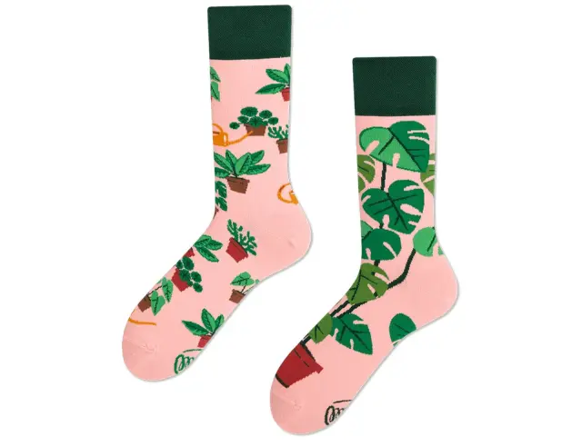 Κάλτσες Plant Lover Many Mornings με μέγεθος 43-46 - ΕνηλίκωνPlant Lover Regular 43-46 3