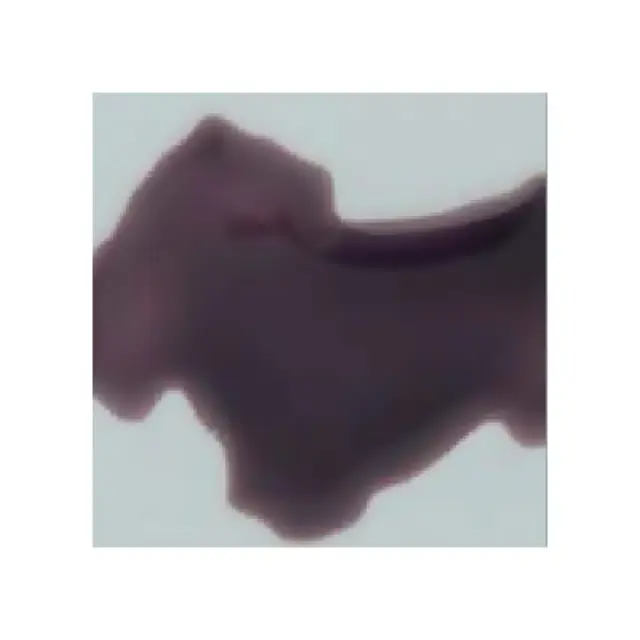 Float 0.Powder - Transparent Deep Violet - COE82 - 100gr