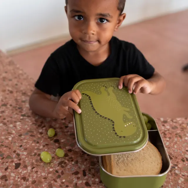 LUNCH BOX LARGE - MR. DINO 3