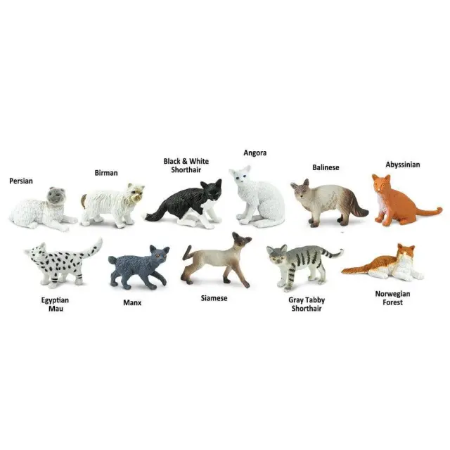 Safari Ltd Μινιατούρες Domestic Cats TOOB Οικόσιτες Γάτες (3+ ετών) 699204 2