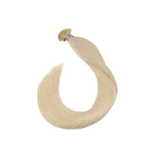 Farmavita Lousios Hair Extension N.60