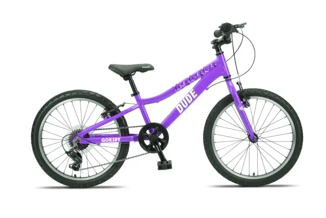 ΠΟΔΗΛΑΤΟ GOKIDY DUDE 20'' ΜΕ ΤΑΧΥΤΗΤΕΣ - ΜΩΒ - NO SIZE