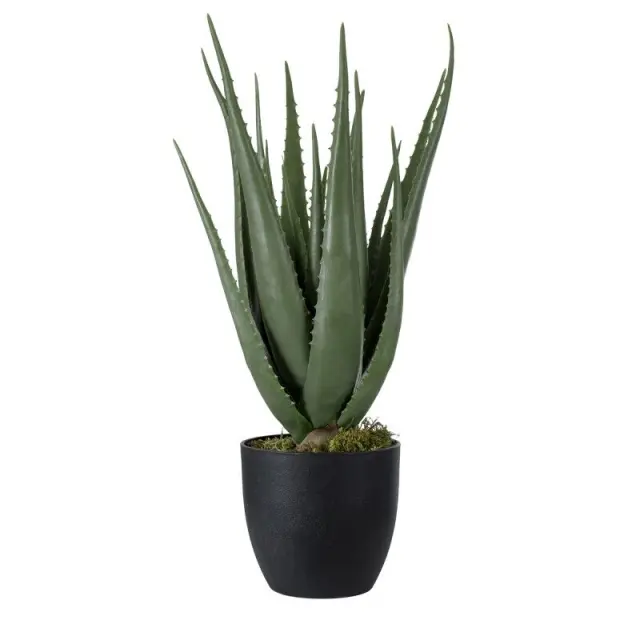 GloboStar® Aloe 20066 Τεχνητό Διακοσμητικό Φυτό Αλόη Y65cm Μαύρο Πράσινο 2
