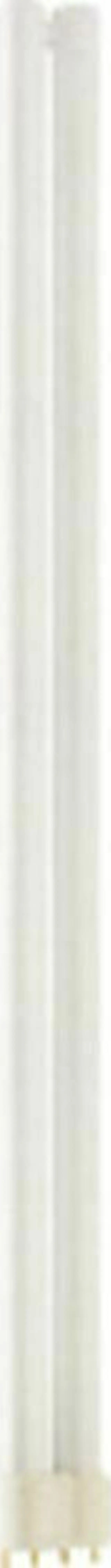 MASTER PL-L 55W/830/4P 1CT/25