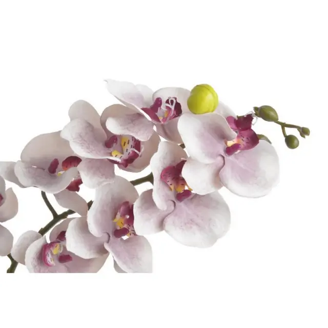 Ορχιδέα 75cm, light pink 2