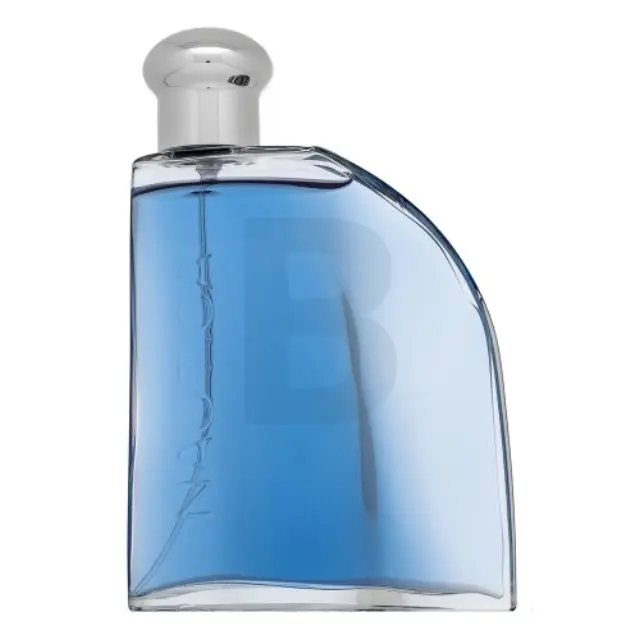 Nautica Blue Sail Eau de Toilette for men 100 ml