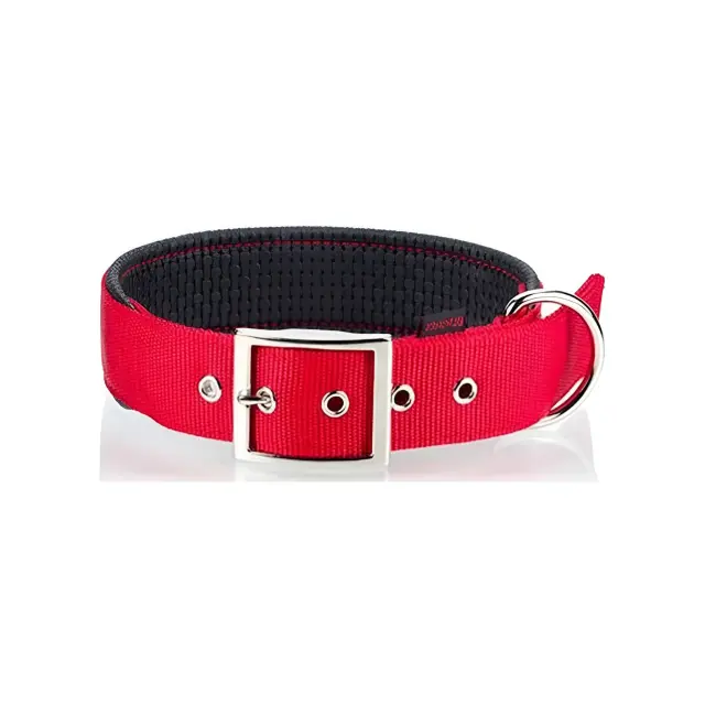 Pet Interest Neoprene Standard Κολάρο Σκύλου σε Κόκκινο χρώμα 3XLarge 25mm x 65cm