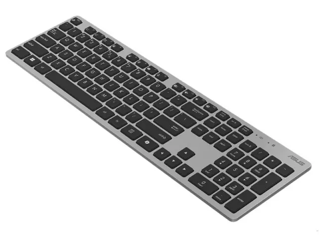 ASUS Keyboard+MOUSE W5000 W11 Copilot (90XB0430-BKM300) 2