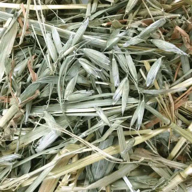 Oxbow Oat Hay - Χόρτο Βρώμης για Χορτοφάγα Κατοικίδια 3