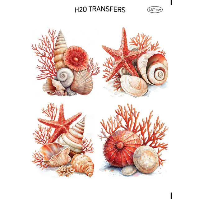 Χαρτί Easy Transfer, Αστερίες και κοχύλια, LNT-509, 25x35cm