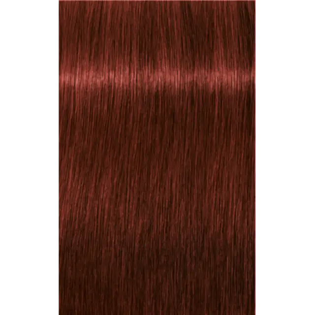 Schwarzkopf Professional Igora Royal Absolutes 6-80 Ξανθό Σκούρο Κόκκινο Φυσικό 60ml