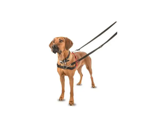 Halti Front Control Harness Εκπαιδευτικό Σαμαράκι Κόκκινο/Μαύρο Large 80-120cm 2